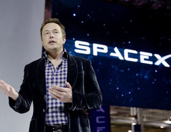 Elon Musk Rallys