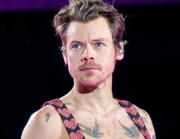 Harry Styles Marvel Venture