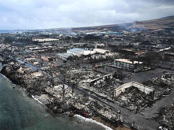 Maui Wildfire US