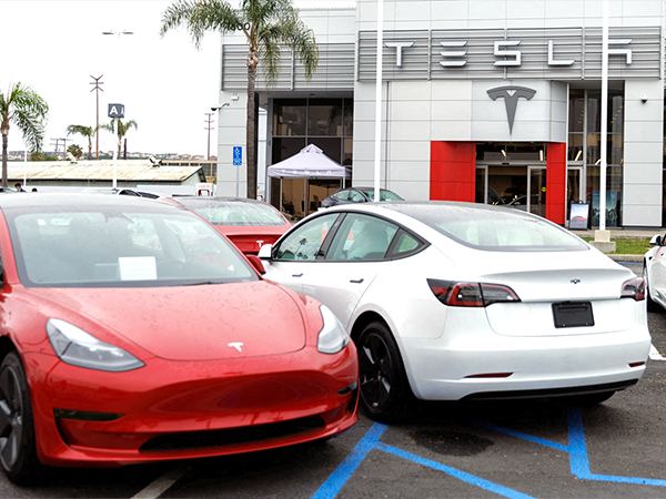 Tesla India