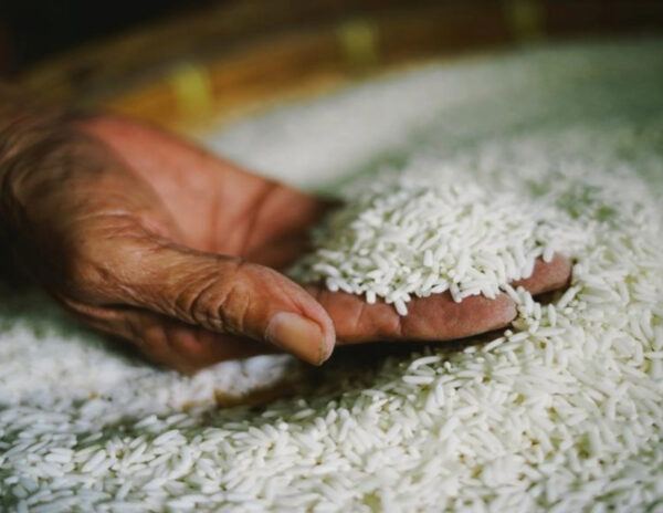 West Is Crying For India's Rice