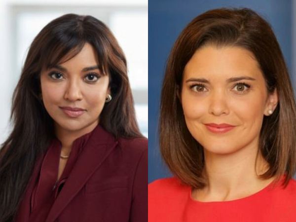 Another Indian American Becomes Top Company CEO