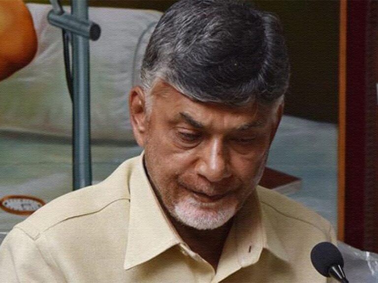 Don't Think Remand As Punishment: Judge To Chandrababu Naidu