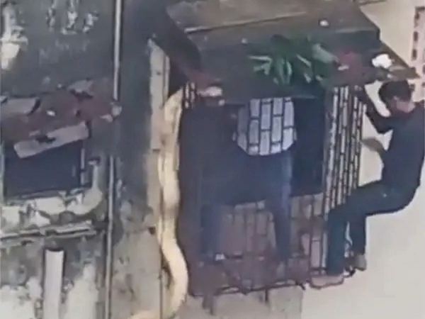 Monstrous Creature Hanging From Thane House