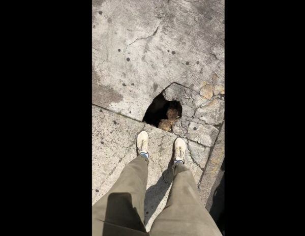 New York Footpath