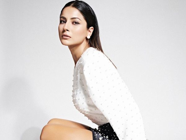 Shehnaaz-Gill-Sexy-Legs