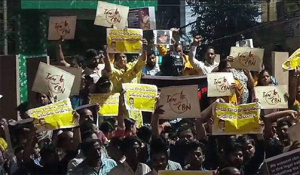 Telangana IT Proffesionals