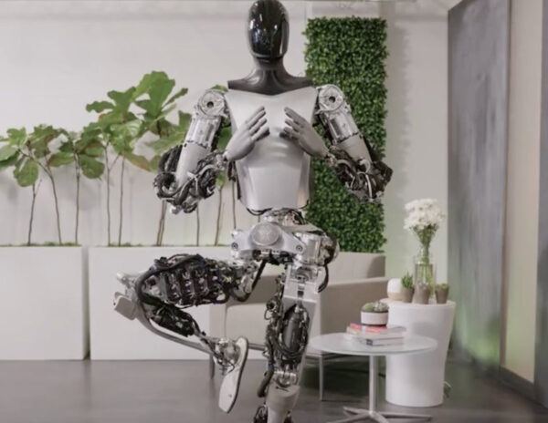 Tesla Robot Namaste