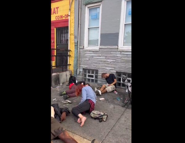 USA Street Junkies