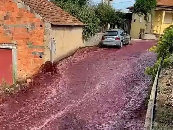 Wine Flood Recorded On Street!
