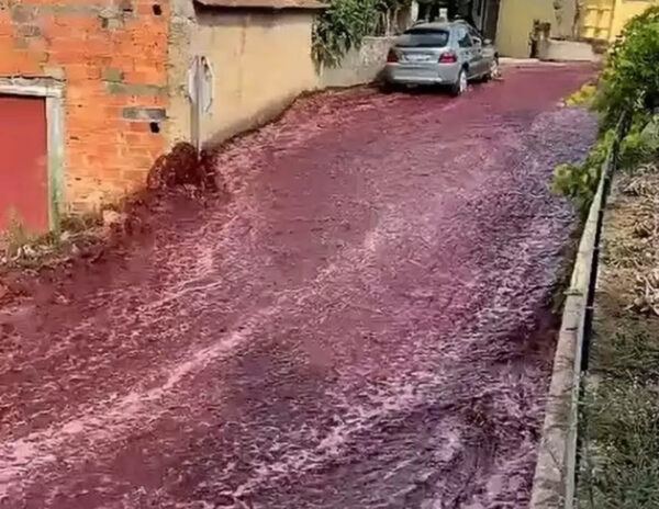 Wine Flood Recorded On Street! 