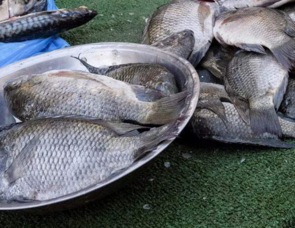 Woman Loses Hands & Legs After Eating Fish!