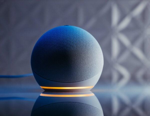 Alexa US 2020 Election