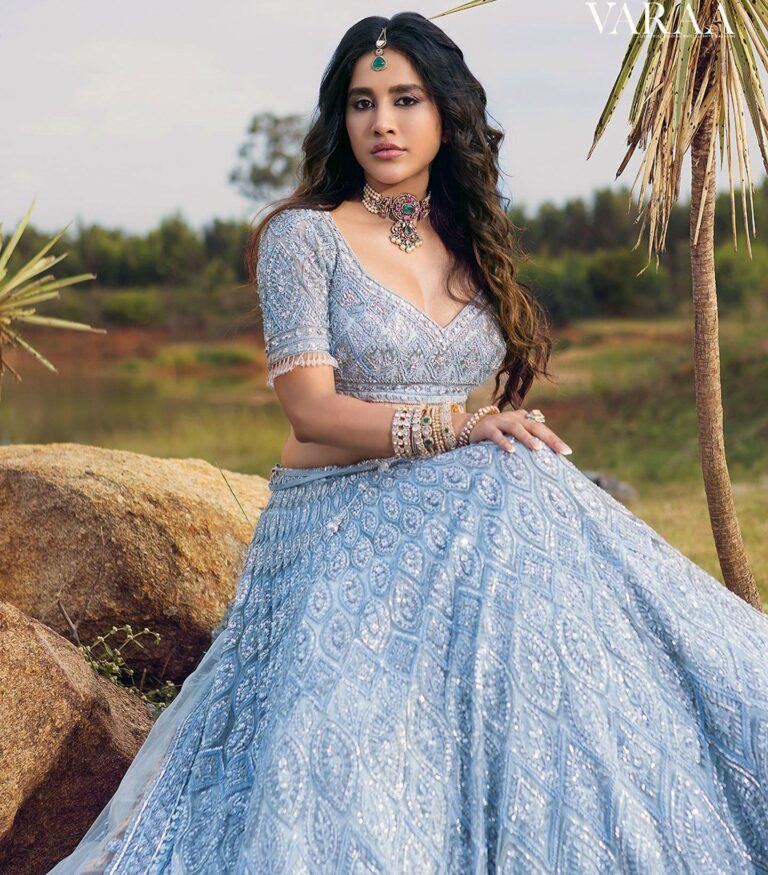 Nabha Natesh