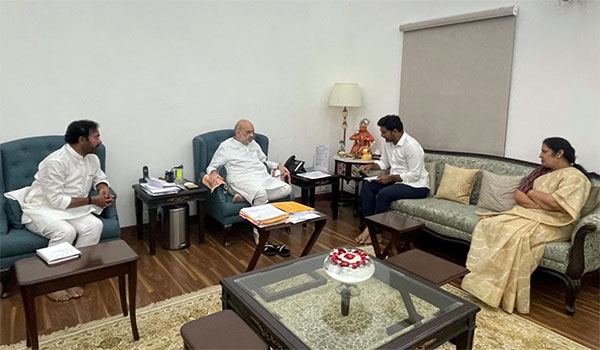 Nara Lokesh Meets Amit Shah