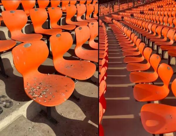 Narendra Modi Stadium Bird Droppings