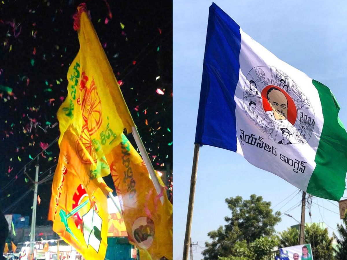 TDP YCP
