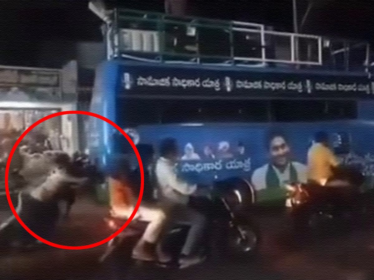 YSRCP Bus Yatra