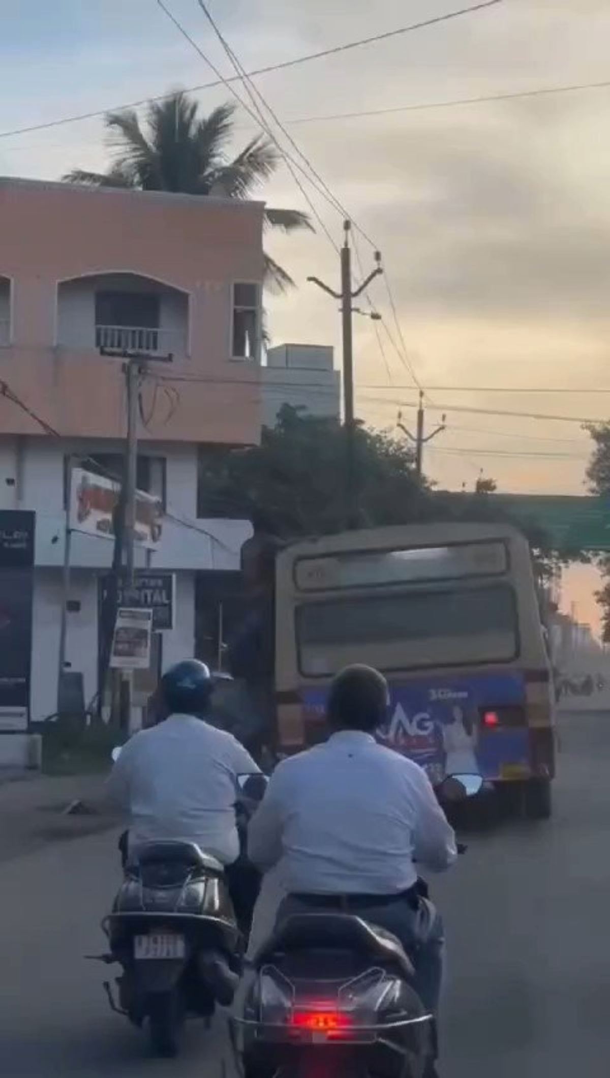 1 lady vs bus