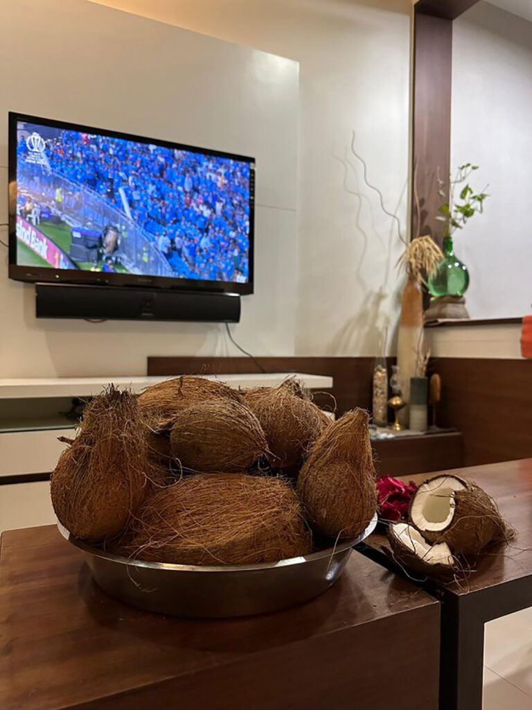 151 Coconuts Team India World Cup Final
