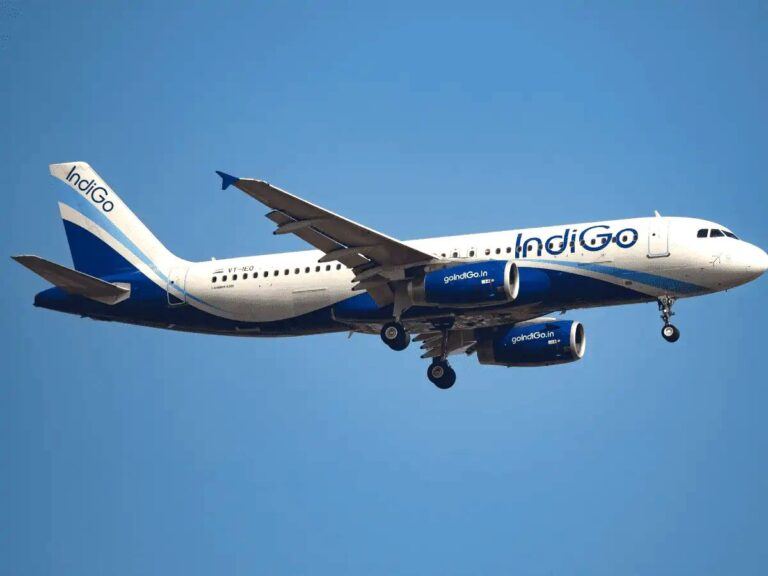 NRI Woman Horrifying Tale US Flight