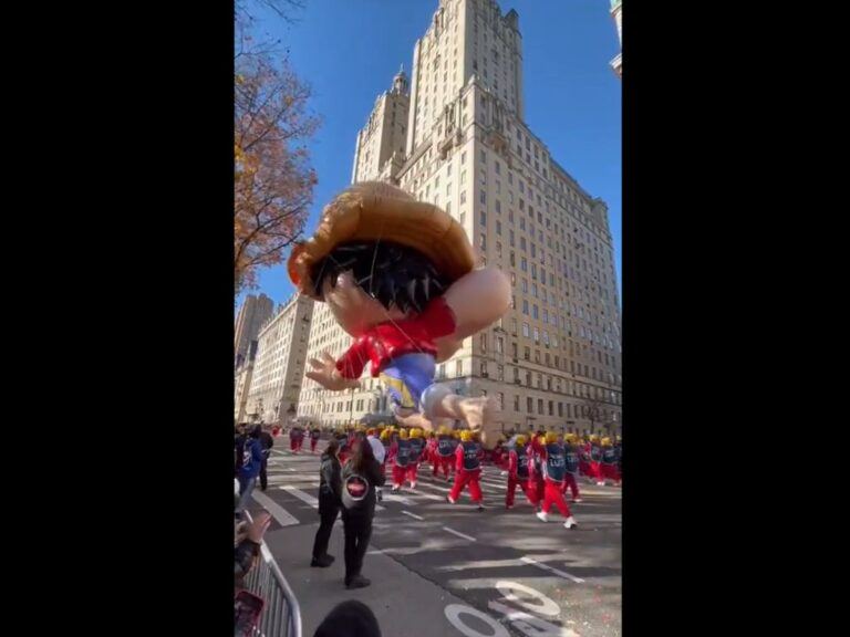 One Piece Parade Blunder