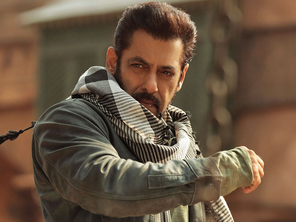 Tiger 3 Collections: Real Or Scam?