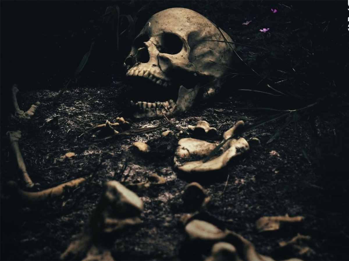 9 People Found Dead