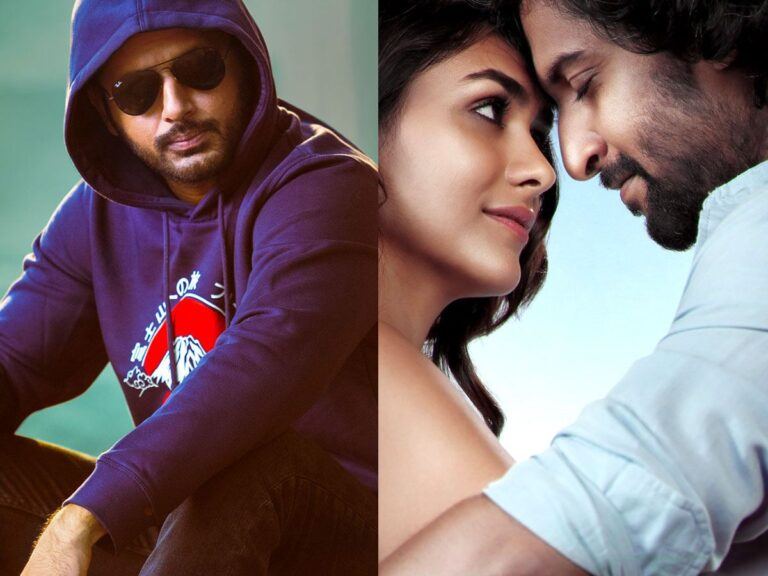 Extra Ordinary Man Hi Nanna BO