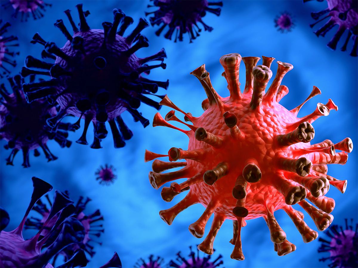 JN1-Virus