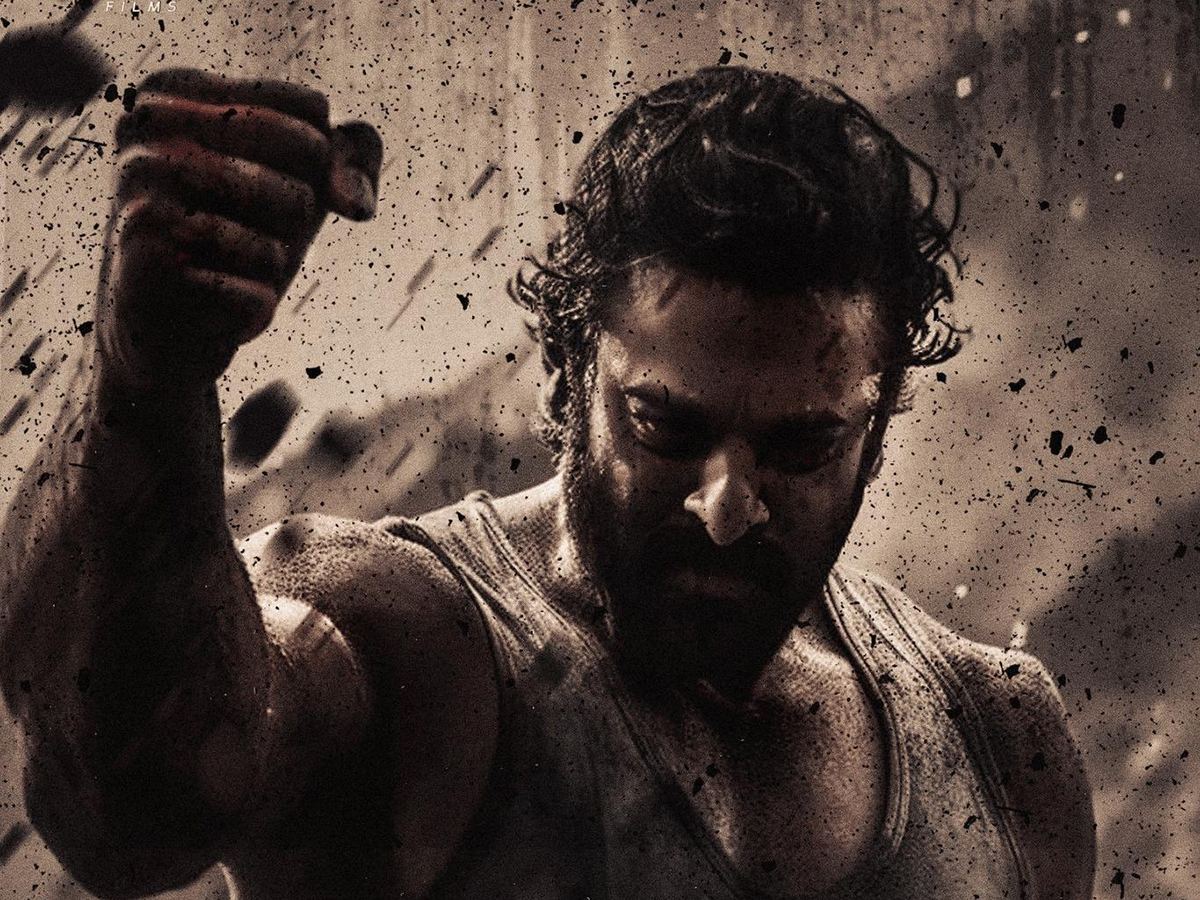 prabhas-salaar-nizam