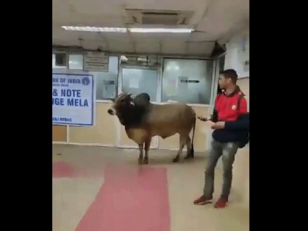 Most Powerful Customer Visits SBI