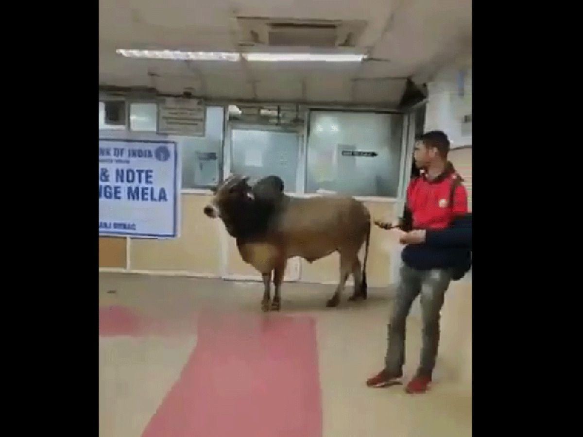 Most Powerful Customer Visits SBI