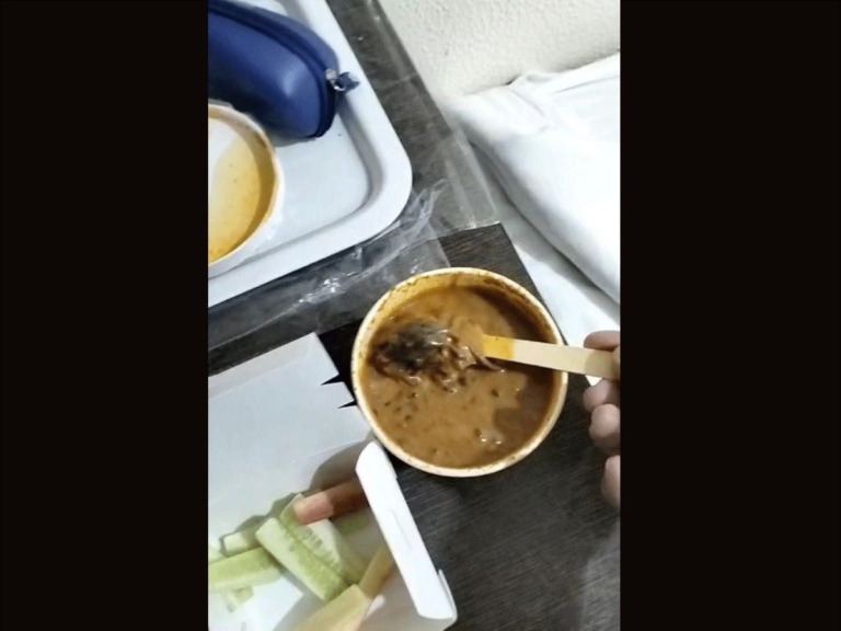 Rat In Veg Food