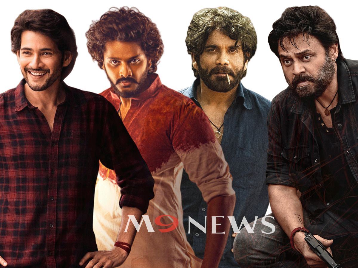 Sankranthi Heroes: Winners & Losers