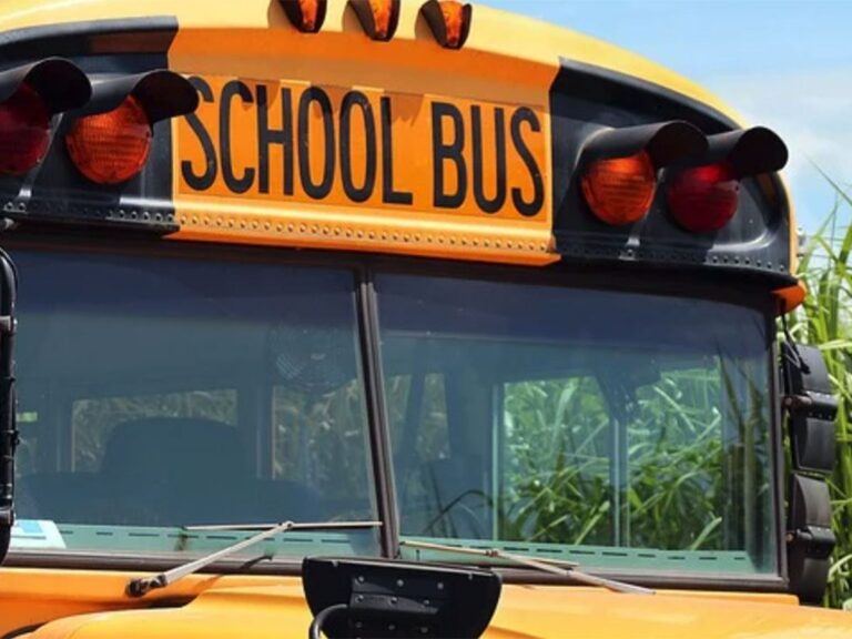 School-Bus