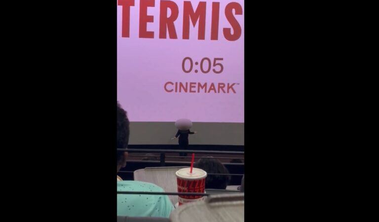 Tollywood USA Telugu Movie Fans Theater Damage