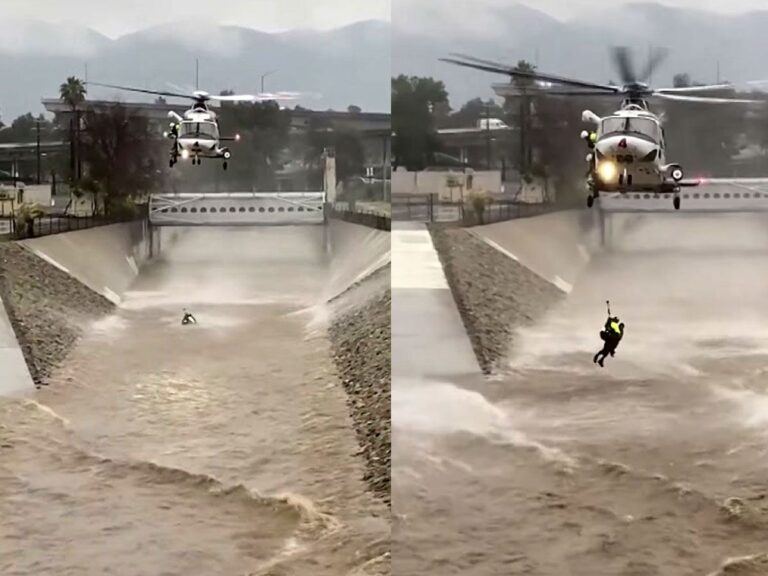 Man Risks Life to Save Beloved Dog