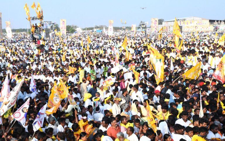 TDP Flags Srikakulam