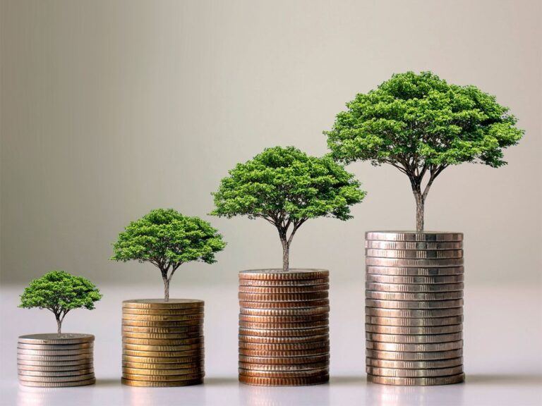 More NRI's Are Intrested In Long Term Investment?