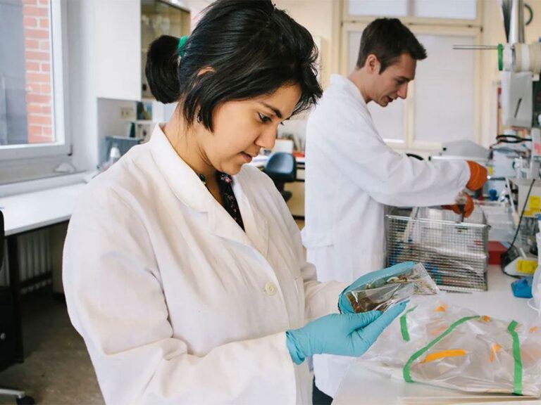 Female Students