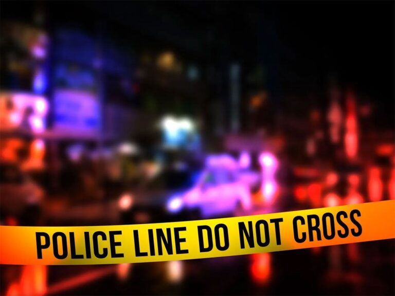 Indian Origin Man House Looted
