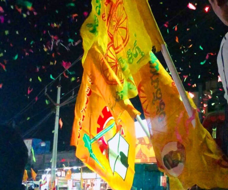 TDP Party flag HD 4K