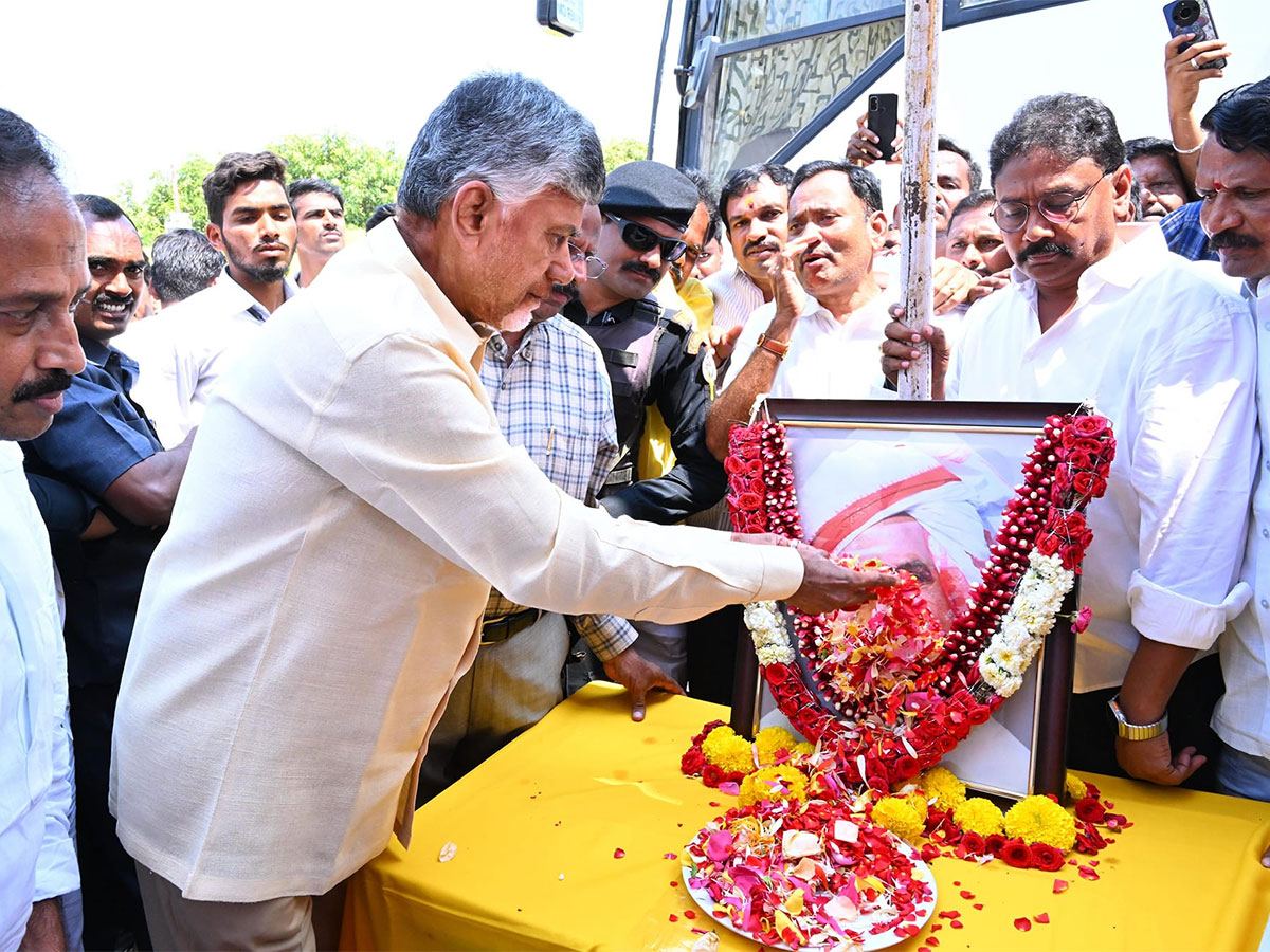 tdp42-years
