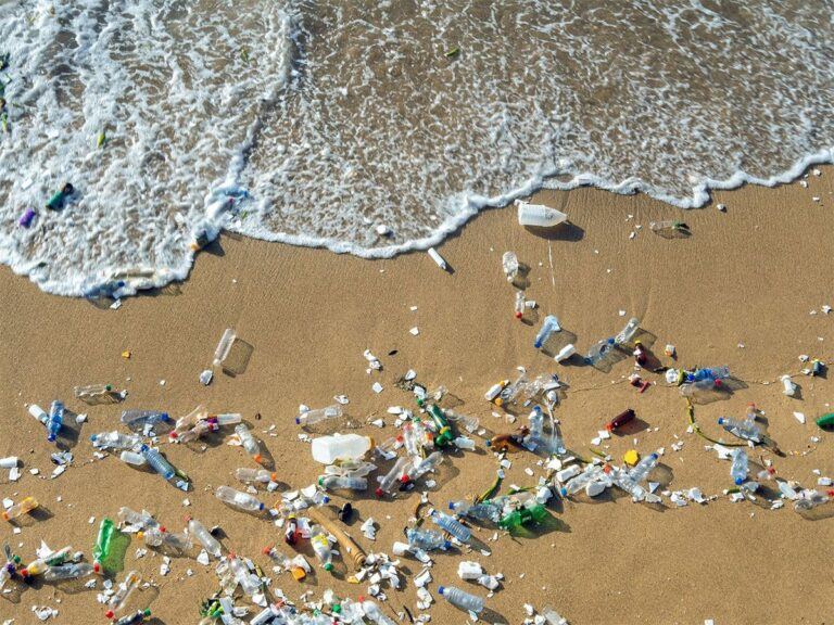 Largest Plastic Pollution