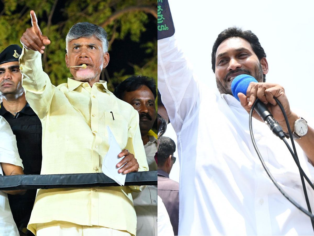 TDP YCP