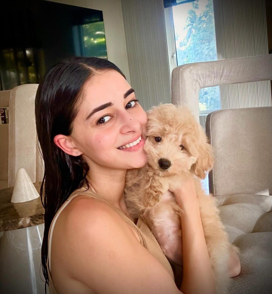 ananyapanday