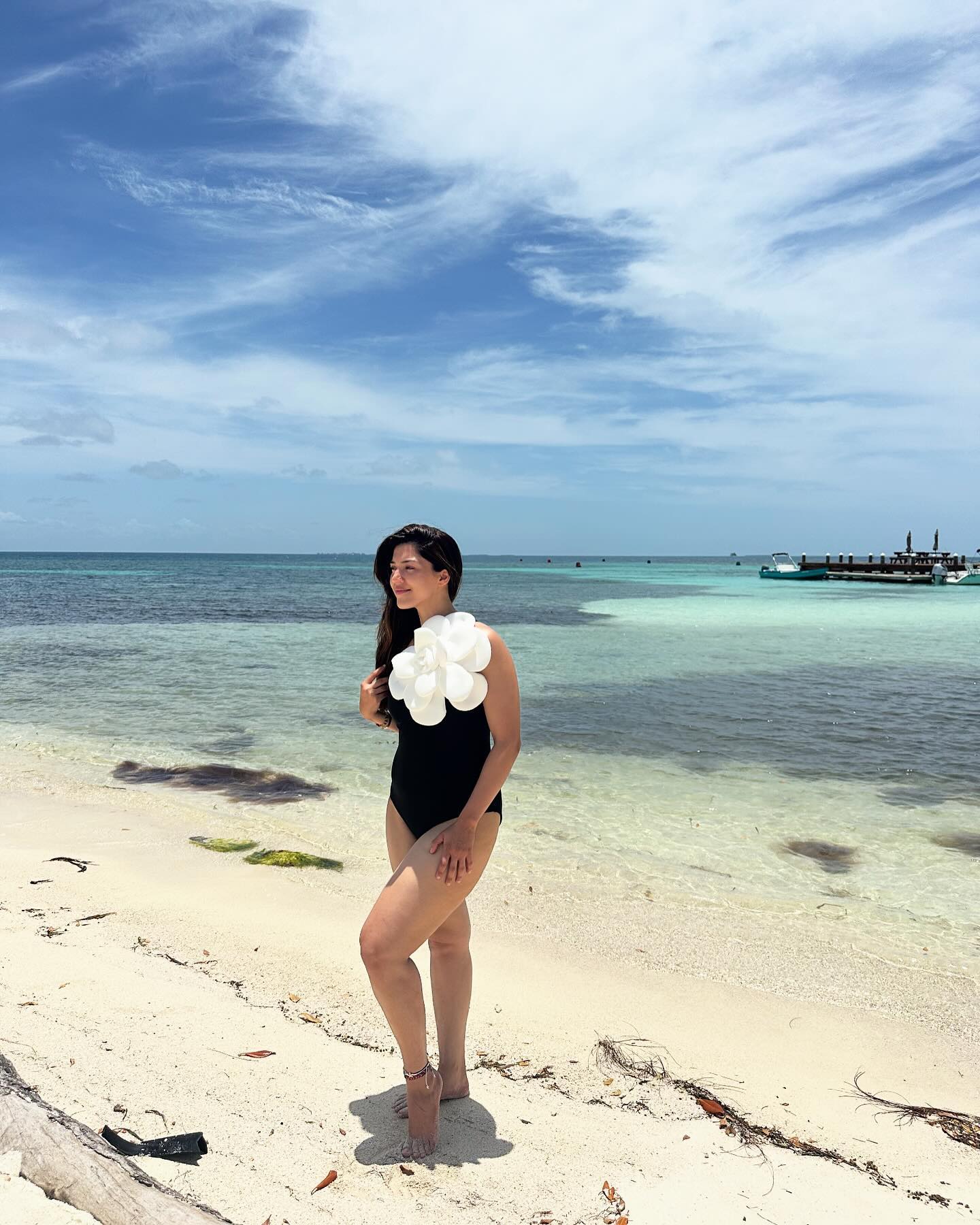 mehreen-pirzada-bikini