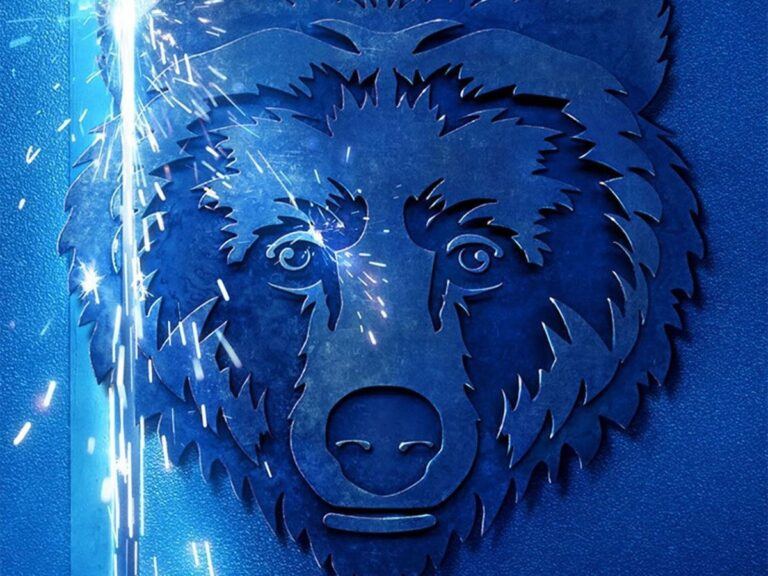 The Bear