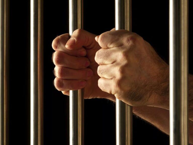 Life Imprisonment To ISI Spy